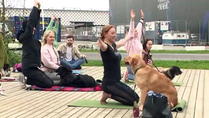 Video: Woofstock: Brüssel feiert erstes Hundefestival