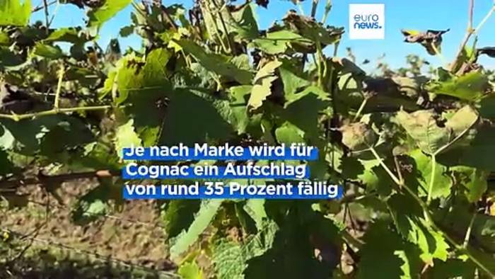 Video: 