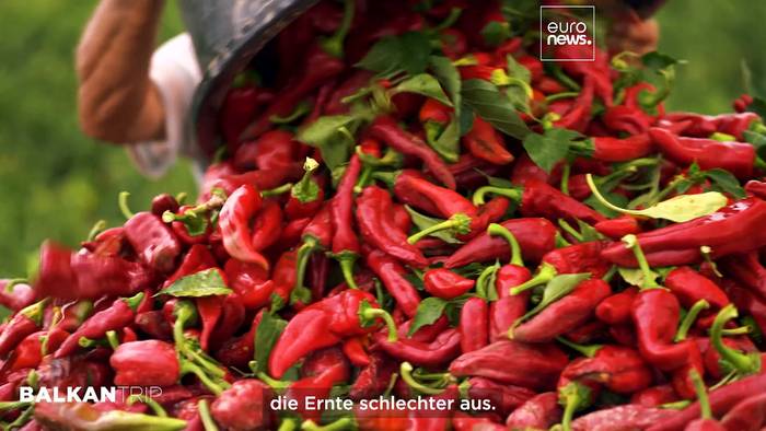 Video: Serbiens rotes Dorf Donja Lokošnica und das UNESCO-Weltkulturerbe Pirot-Teppichhandwerk