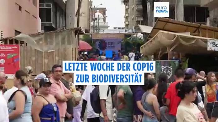 News video: 