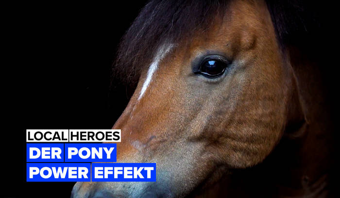Video: Local Heroes: Ponytherapie