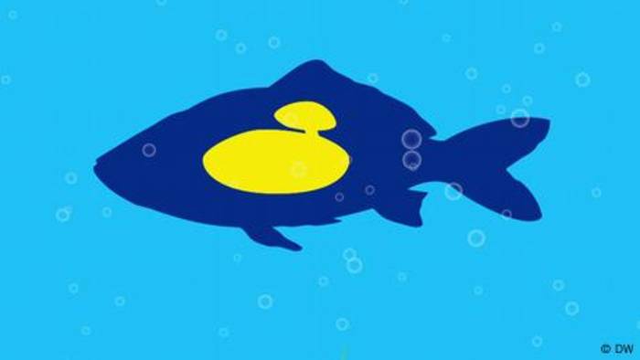 Video: Warum gehen Fische im Wasser nicht unter?