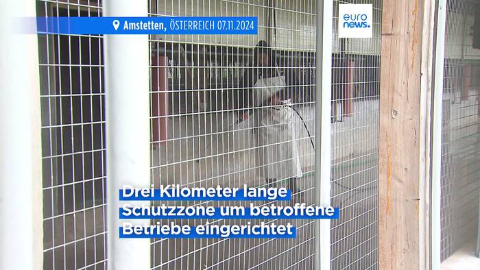 News video: Ganz Österreich zum Vogelgrippe-Risikogebiet erklärt: Fast 200.000 Hühner gekeult