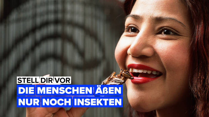 Video: Stell dir vor, die Menschen würden sich ausschließlich von Insekten ernähren