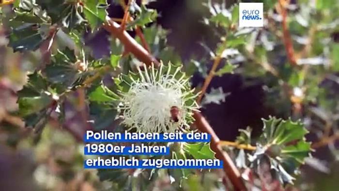 Video: Der Klimawandel verschlimmert die Symptome von Pollenallergien