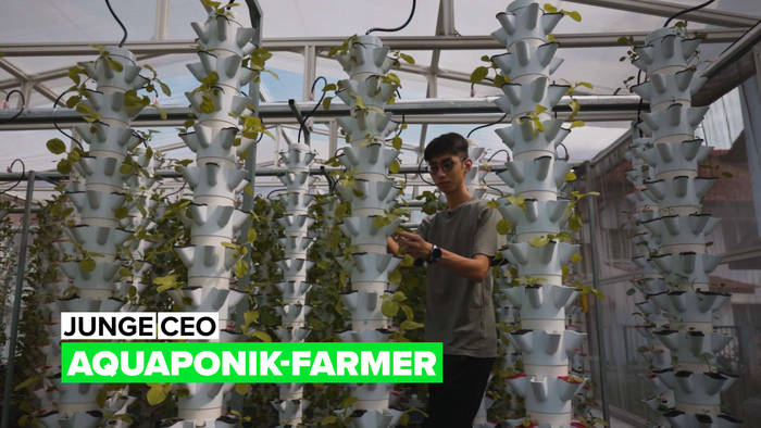 Video: Junge CEO: Aquaponik-Farm