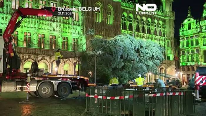 Video: Arbeiter stellen einen 20 Meter hohen Weihnachtsbaum auf dem Grand Place in Brüssel auf