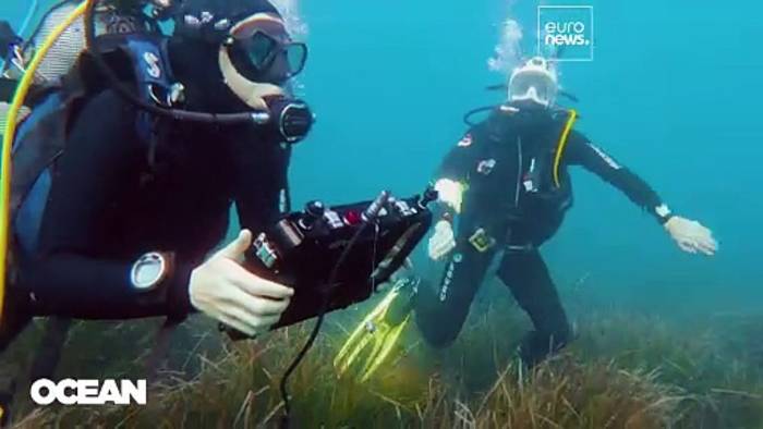 Video: Unterwasser-WLAN, Aquaponic-Farmen: Wie europäische Startups um Investoren werben