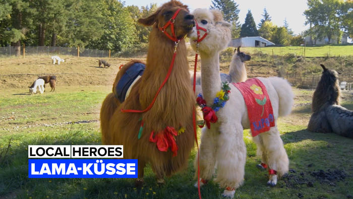 Video: Local Heroes: Lama-Küsse