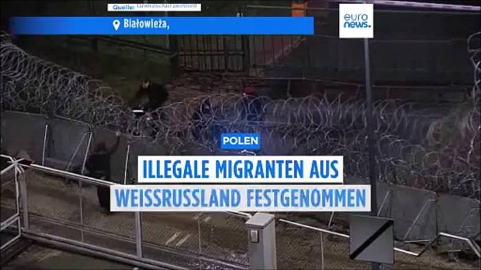 Video: Polen: Fast 40 illegale Migranten an der Grenze zu Weißrussland festgenommen