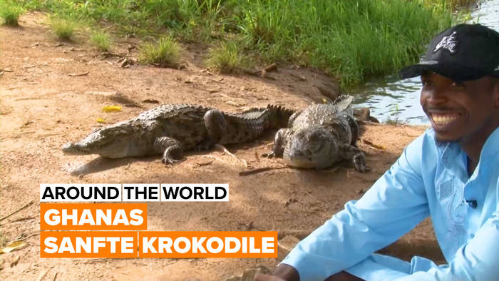 Video: Around the world: Ghanas sanfte Krokodile