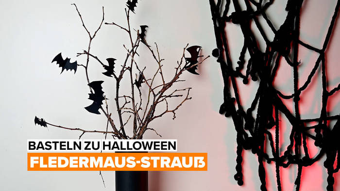 News video: Basteln zu Halloween: Fledermaus-Strauß