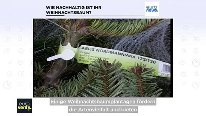 Video: Fakten-Check: Welcher Weihnachtsbaum ist am besten für die Umwelt?