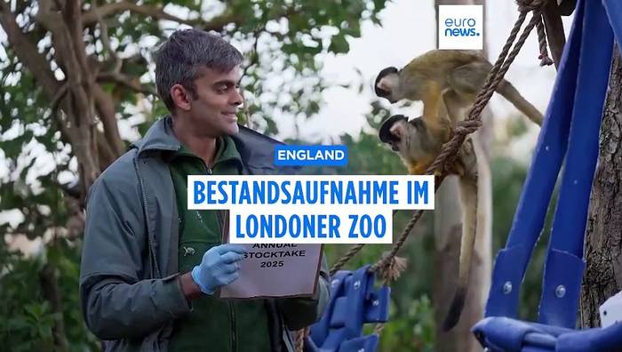 News video: Die Bewohner des Londoner Zoos werden bei der jährlichen Bestandsaufnahme gezählt