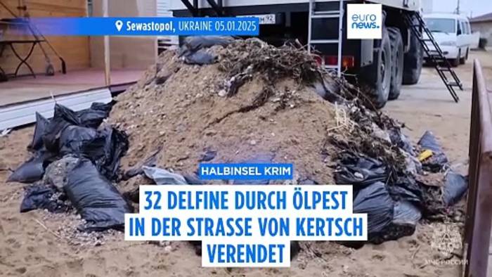 News video: Mehr als 30 Delfine durch Ölpest in Südrussland gestorben