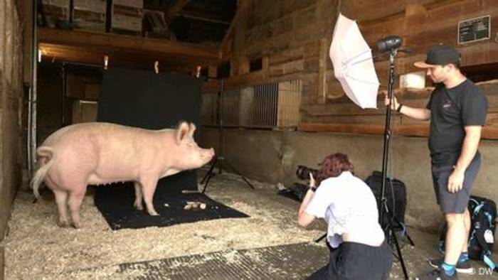 News video: Fotos für einen besseren Umgang mit Tieren