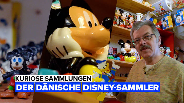News video: Du glaubst, du bist ein Disney-Fan? Hier ist eine 20.000 Teile umfassende Sammlung!