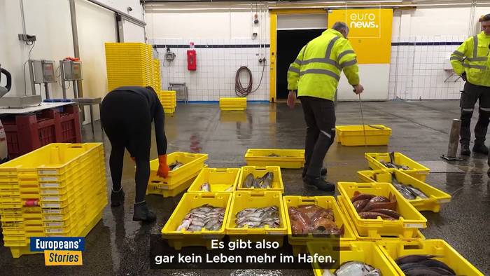 News video: Delfinschutz und Lebensunterhalt der Fischer am Golf von Biskaya: ein schwieriges Gleichgewicht