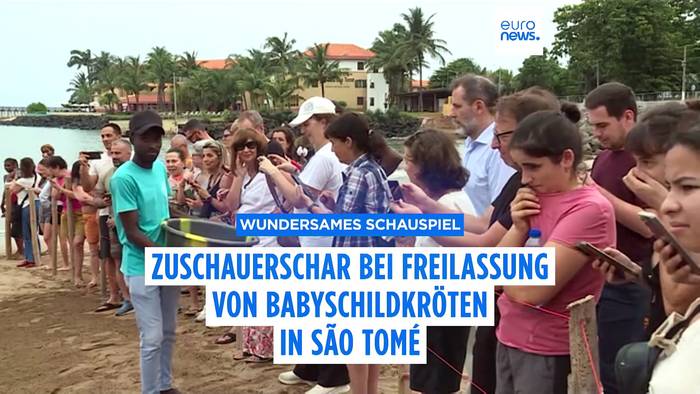 Video: Zuschauerschar bei Freilassung von Babyschildkröten in São Tomé