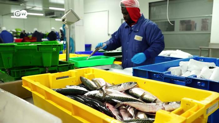 Video: Frankreich: Fisch im Abonnement