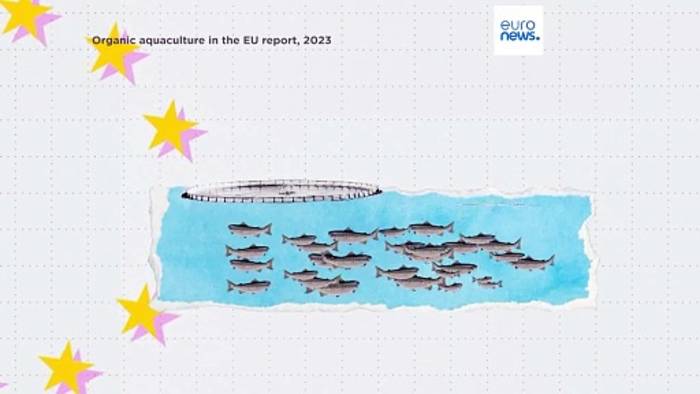 Video: Ökologische Fischzucht: Welche EU-Länder sind die Vorreiter?