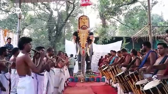 Video: Technologie trifft Tradition: Roboterelefant im Tempel