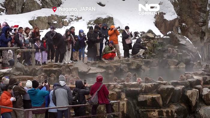 Video: Sorge um die Affen: Rekordbesucherzahlen bei Japans heißen Quellen