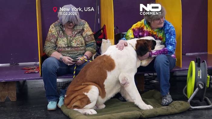 News video: Prestigeträchtige Namen für die Hunde des Westminster Kennel Clubs