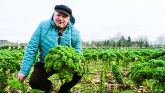 Video: Superfood Grünkohl: So mögen ihn die Deutschen am liebsten