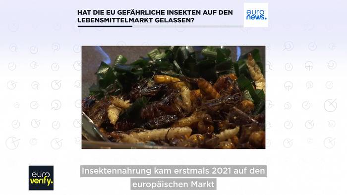 Video: Faktencheck: Werden die Europäer gezwungen, gefährliche Insekten zu essen?