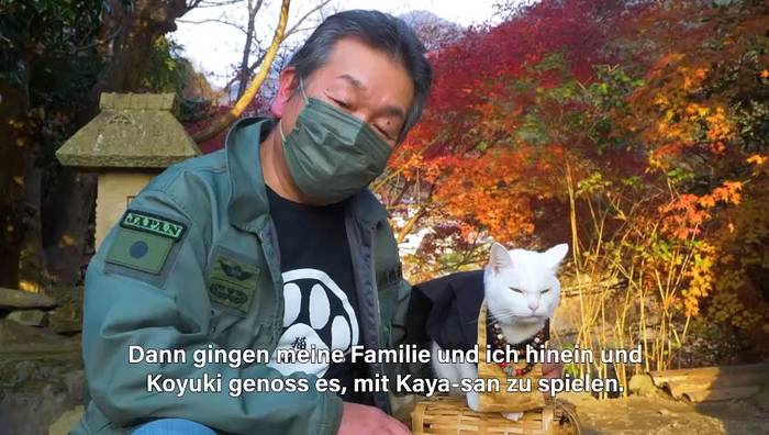 News video: Koyuki, die Mönchskatze