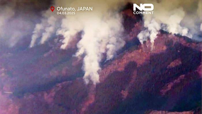Video: Waldbrände in Japan: 2600 Hektar verbrannt