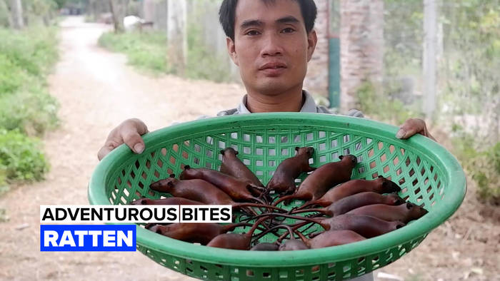 Video: Adventurous Bites: Ratten