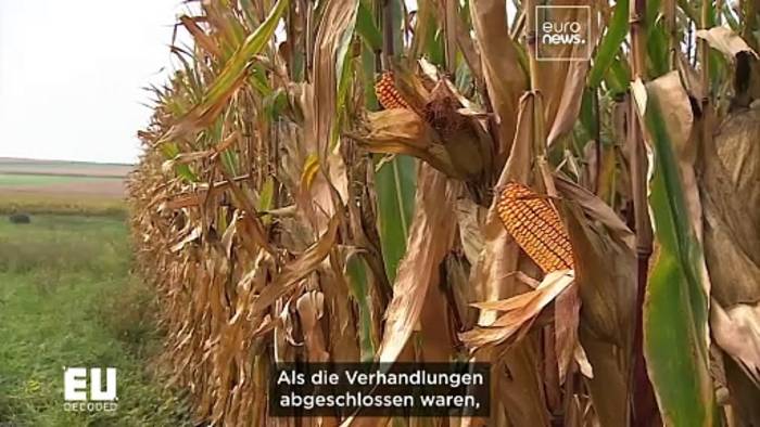 Video: Werden neue rechtsverbindliche Ziele den Kampf gegen die Verschwendung voranbringen?