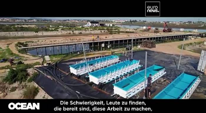 Video: Die maritime Industrie wirbt um junge Straftäter: „Jeder verdient eine zweite Chance“