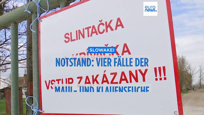 Video: Maul- und Klauenseuche: Slowakei verhängt Notstand über das gesamte Land