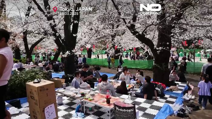 Video: Hanami: Höhepunkt der Kirschblüte in Tokio