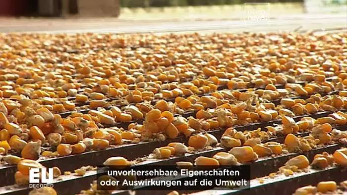 News video: Wird die europäische Landwirtschaft auf neue genomische Techniken umstellen?