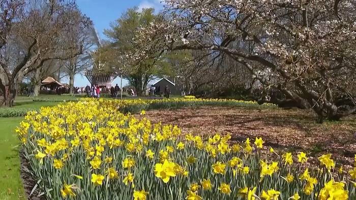 News video: Keukenhof Gärten werden zum ultimativen Social-Media-Hotspot im Frühling