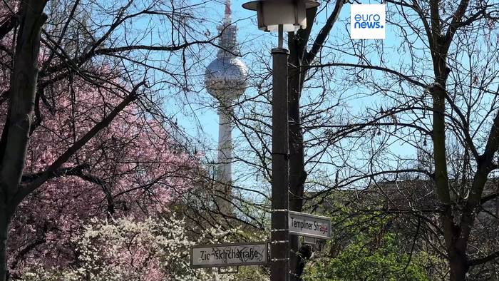 Video: Kirschblüte in Berlin: Frühlingsbote blüht immer früher