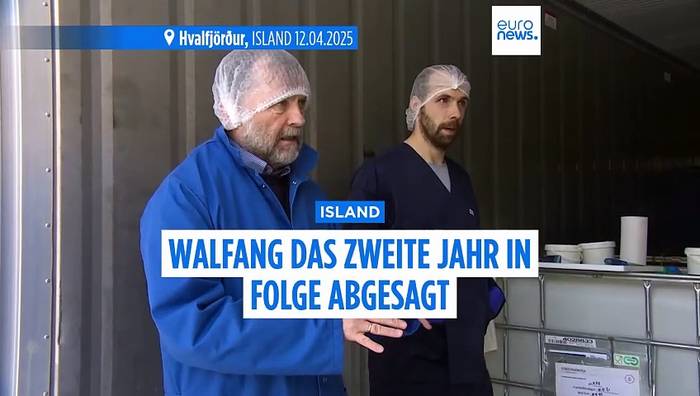 Video: Walfangsaison in Island zum zweiten Mal in Folge abgesagt