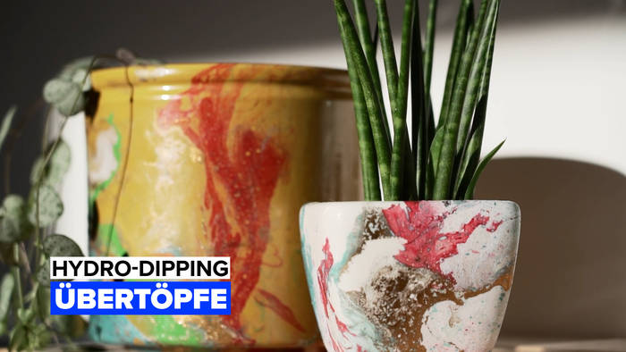 News video: Hydro-Dipping: Übertöpfe
