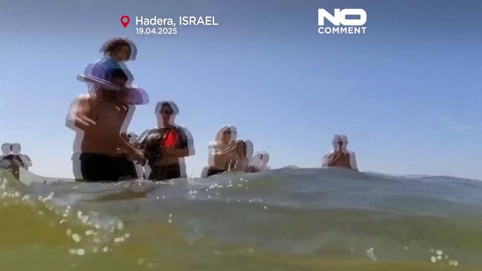 Video: Suche nach vermutetem Hai-Angriff an der israelischen Küste im Gange