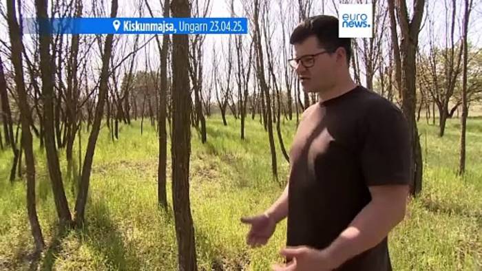 News video: Gegen die Trockenheit: Vom kargen Landstrich zur lebendigen Feuchtwiese