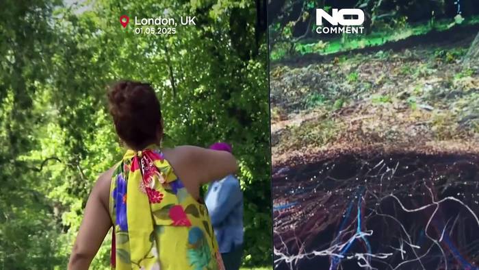News video: Historische Eiche in Kew Gardens als digitales Kunstwerk neu interpretiert