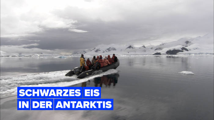 News video: Die Antarktis färbt sich schwarz