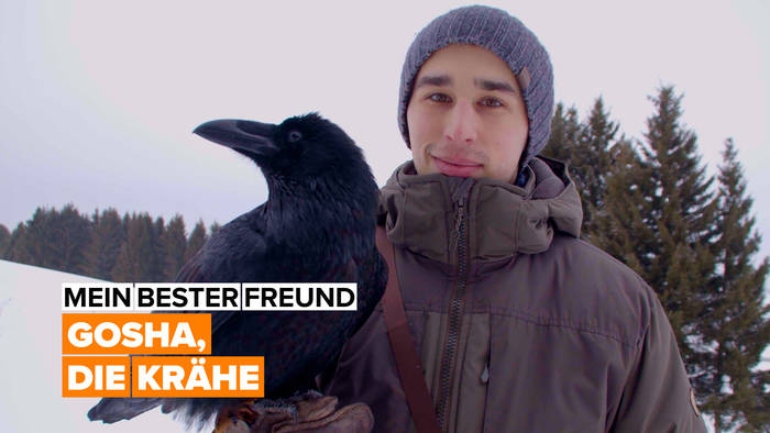 News video: Mein bester Freund: Gosha, die Krähe