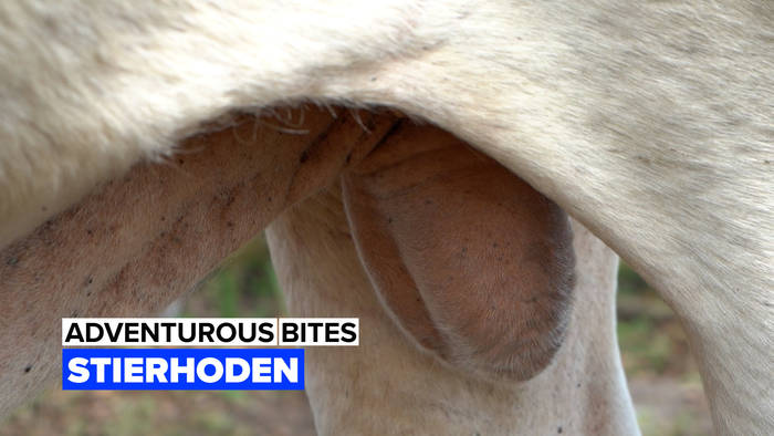 News video: Diese Stierhoden schmecken einfach grandios