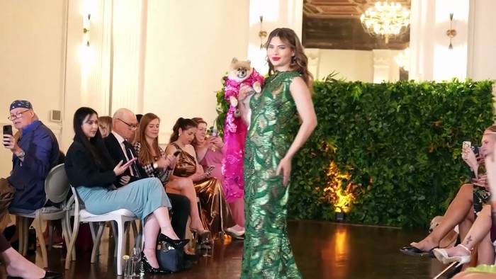 News video: Haustiere posieren stilvoll bei Met-inspirierter Gala in New York