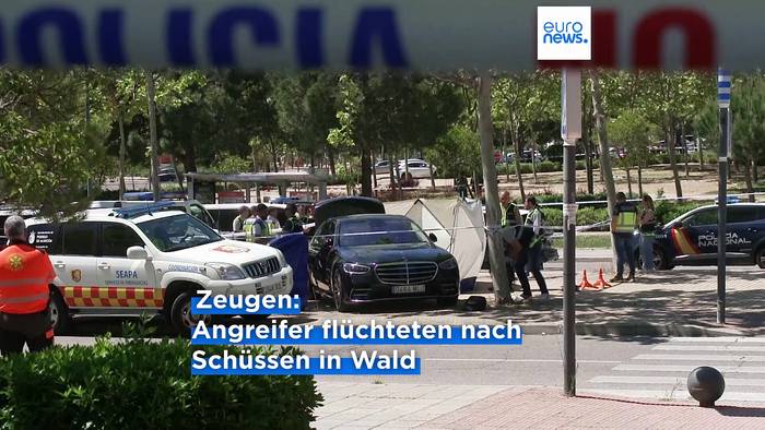 Video: Ukrainischer Exil-Politiker und Berater von Janukowitsch vor Schule in Madrid erschossen